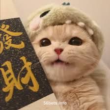 Avatar de images (3)